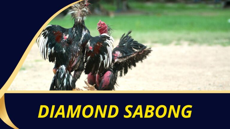 Diamond Sabong: A Comprehensive Platform Review 